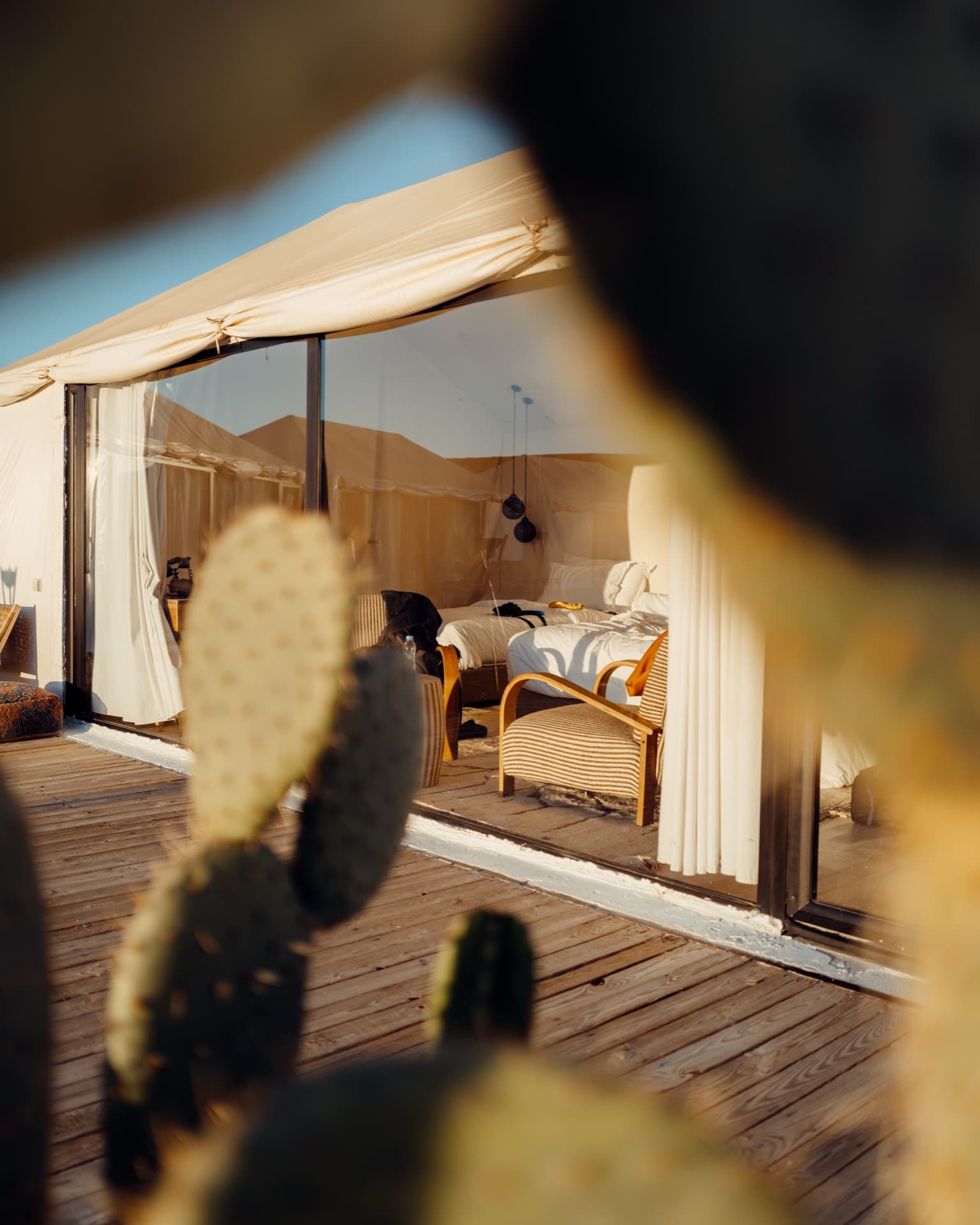 Luxury Camp